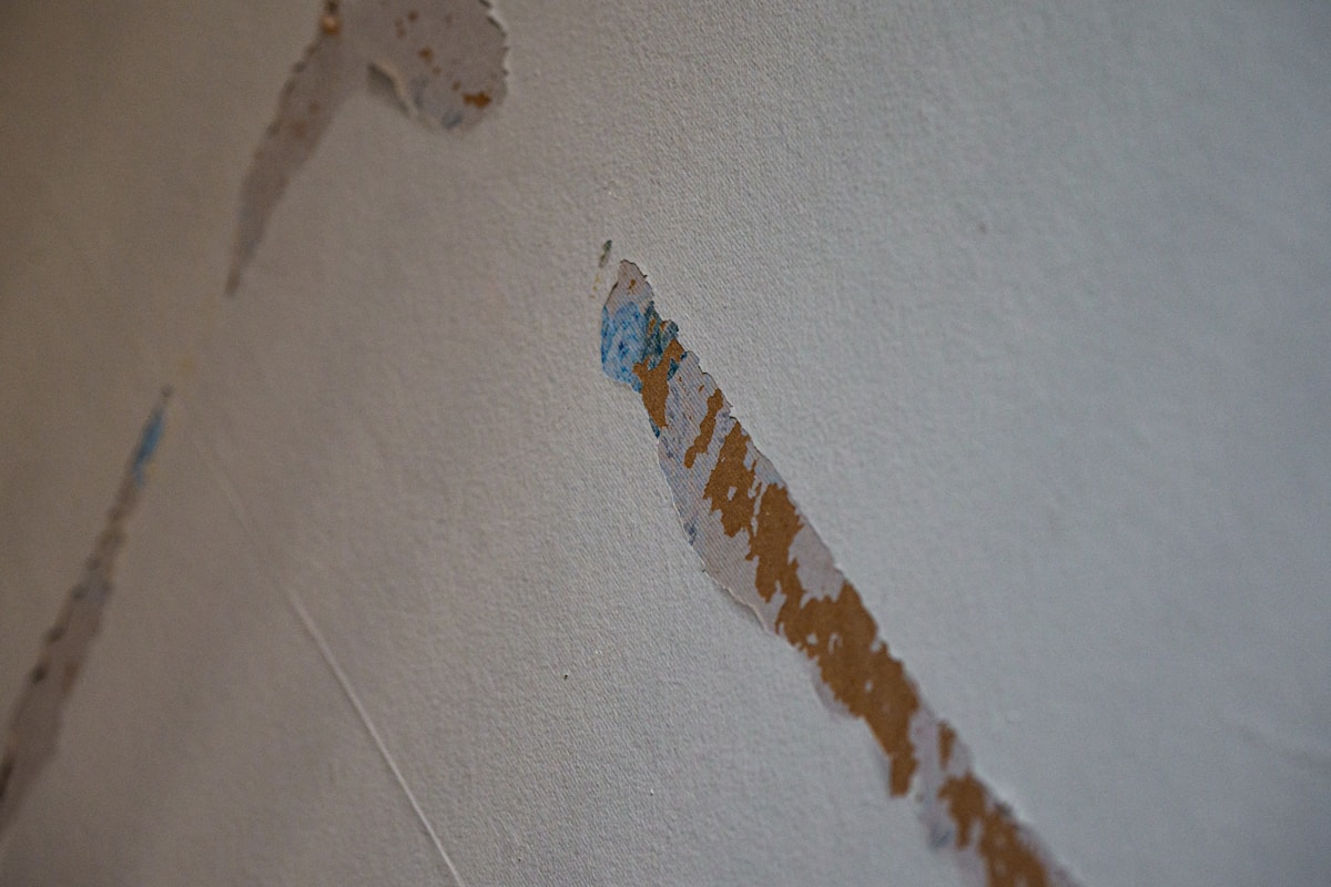 Sewage Cleanup service in Midland, TX